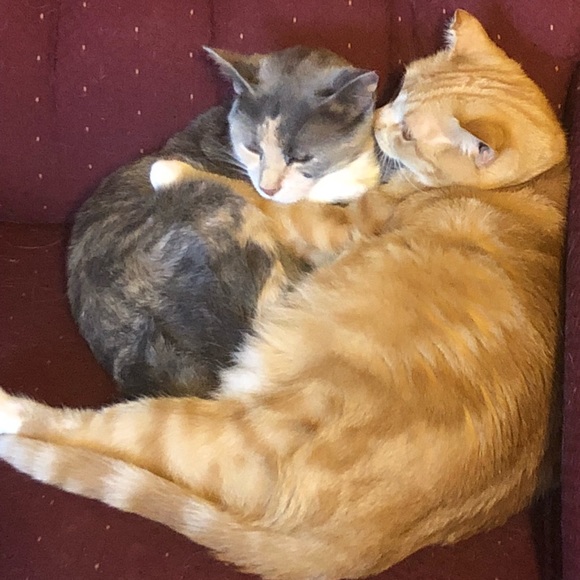 Amanda’s A Lil Bit of Everything Closet - Picture 7 of 8